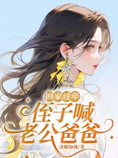 回家过年,侄子喊老公爸爸云朵王思宇崔芙小说_回家过年,侄子喊老公爸爸完结版阅读