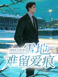 抖音雪地难留爱痕小说章节阅读