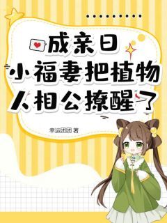 苏梨秦见深全文最新章节正版小说免费阅读