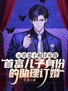 生菜写的小说元宵妻子和冒充我首富儿子身份的助理订婚郑知雅蒋峰全文阅读