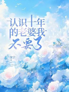 抖音认识十年的老婆我不要了小说章节阅读