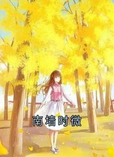 南墙时微免费阅读全文,主角时微商砚小说