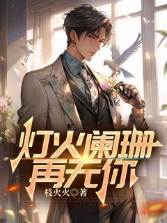 好文热推小说灯火阑珊再无你主角许辰苏韵全文在线阅读