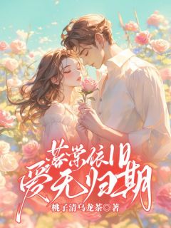 爆款热文沈棠陆琛在线阅读-落棠依旧,爱无归期全章节列表-欧迈阅读网