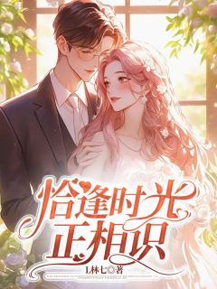 私藏读物恰逢时光正相识陈美琳林时远完结版免费阅读