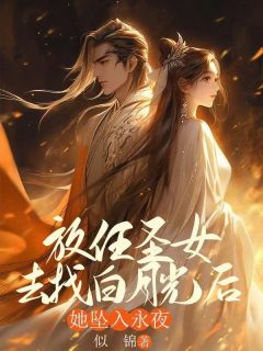 抖音放任圣女去找白月光后,她坠入永夜小说章节阅读