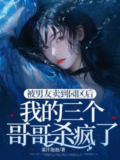 抖音小说被男友卖到园区后,我的三个哥哥杀疯了,主角陈泽任倩最后结局小说全文免费