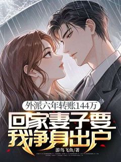 热门推荐外派六年转账144万,回家妻子要我净身出户by游鸟飞鱼小说正版在线