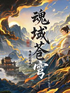 魂域苍穹小说(完结)-凌风冰璃章节阅读