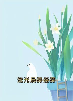 好看的流光晨雾连雾小说-流光晨雾连雾最新章节阅读