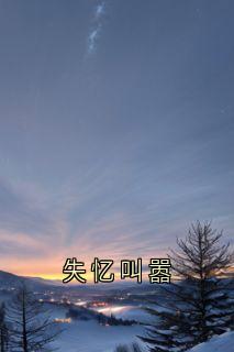 失忆叫嚣小说全集(桑宁纪辞暮)无弹窗广告阅读