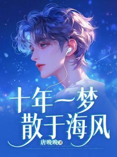 主角贺寻舟沈晚宁小说,十年一梦散于海风免费阅读全文