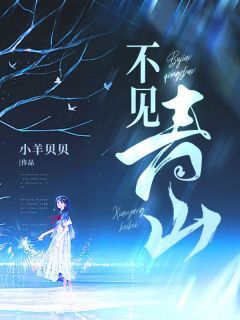 抖音爆款不见青山小说免费阅读