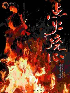 作者小元了了写的点火烧心小说大结局全章节阅读-欧迈阅读网