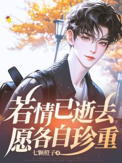 (精品)若情已逝去，愿各自珍重小说