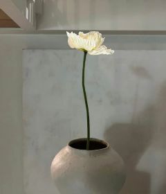 热文重生到姐姐抛弃指腹为婚对象这天小说-主角许岚秦山全文在线阅读-欧迈阅读网