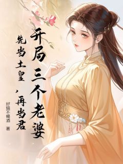 开局三个老婆,先当土皇,再当君小说全集(孙坚周婉儿)无弹窗广告阅读