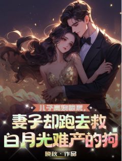 儿子高烧惊厥,妻子却跑去救白月光难产的狗by苏婉清于青州在线阅读