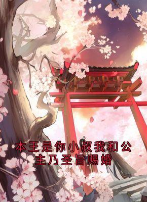 本王是你小叔我和公主乃圣旨赐婚小说的书名是什么-欧迈阅读网
