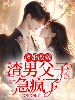 沈青青江城全文最新章节正版小说免费阅读-欧迈阅读网