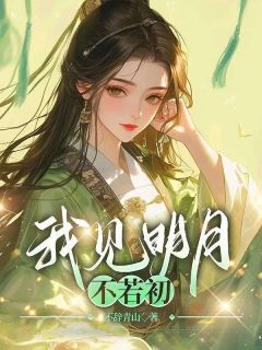 我见明月不若初小说(完结)-池柳宁景章节阅读-欧迈阅读网