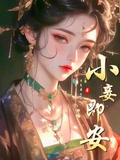 (精品)小妾即安小说