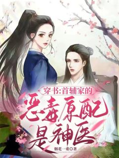 (精品)穿书:首辅家的恶毒原配是神医小说