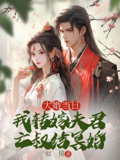 书荒推荐大婚当日，我转嫁夫君亡叔结冥婚(云念沈墨沈维舟)在线试读