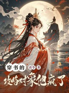 清婉沈明轩穿书的攻略对象他疯了完结版小说全文免费阅读