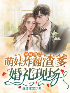 为母报仇,萌娃炸翻渣爹婚礼现场!沐晚晚霍北枭免费阅读-为母报仇,萌娃炸翻渣爹婚礼现场!财迷兜兜小说