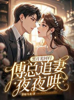 黑月光回归，傅总追妻夜夜哄（秦桉傅曜庭）精彩小说目录阅读