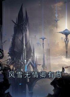 风雪无情卿有意免费阅读全文,主角苍渊慕卿小说