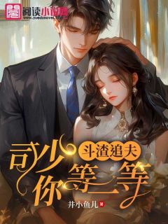 最完整版斗渣追夫:司少你等一等热门连载小说