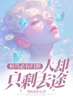 全章节小说候鸟必有归期,人却只剩去途呱呱爱吃瓜最新阅读