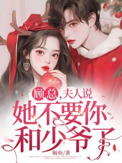 许念顾云琛小说顾总,夫人说她不要你和少爷了全文阅读