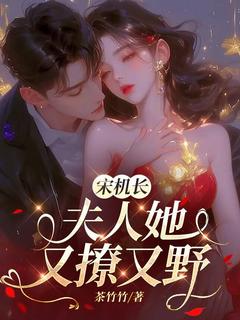 沈心念宋勋野完整版宋机长,夫人她又撩又野全文最新阅读