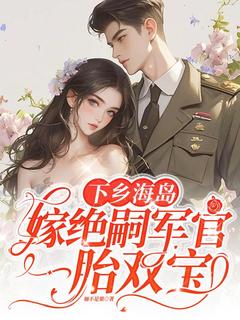 下乡海岛，嫁绝嗣军官一胎双宝小说沈竹一霍锦之免费阅读