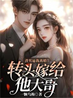 渣男逼我离婚?转头嫁给他大哥小说全集(苏向晚裴墨寒)无弹窗广告阅读