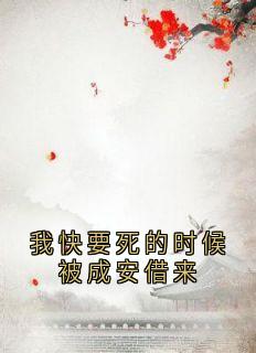 我快要死的时候被成安借来小说(完结版)-云浮成安在线阅读
