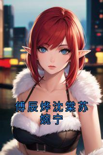 傅辰烨沈棠苏婉宁傅辰烨沈棠小说_傅辰烨沈棠苏婉宁完结版阅读