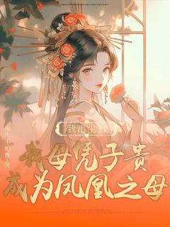 宿泱云祉重生后,我母凭子贵成为凤凰之母全章节免费阅读-欧迈阅读网