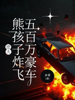 热门小说逆天熊孩子炸飞五百万豪车完整版全文阅读