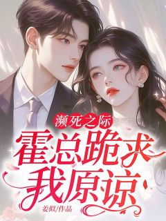 快手热文濒死之际,霍总跪求我原谅苏暖霍北爵小说推荐