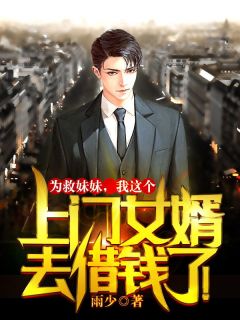 为救妹妹，我这个上门女婿去借钱了！小说免费阅读 何凡黄琳琳大结局完整版