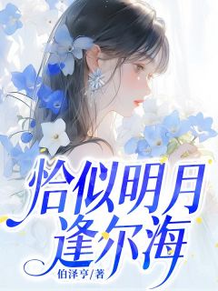 主角林北海高悦小说完整版-恰似明月逢尔海免费阅读全文