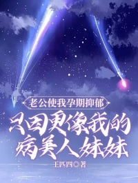 王匹四写的小说老公使我孕期抑郁,只因更像我的病美人妹妹龚景离心庭全文阅读-欧迈阅读网