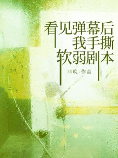快手看见弹幕后,我手撕软弱剧本小说全本章节大结局-欧迈阅读网