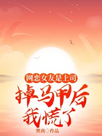 网恋女友是上司，掉马甲后我慌了江辰陆听雪大结局在线阅读