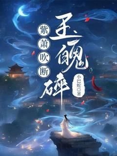 紫箫吹断玉魄碎辰秋离晏清免费全章节目录阅读