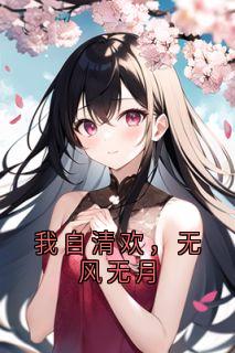 良心推荐我自清欢,无风无月小说试读